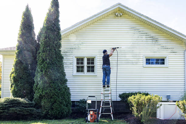 Best Exterior Home Cleaning  in Yorkville, WI